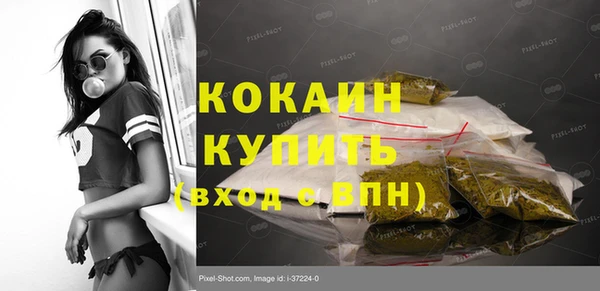 ГАЛЛЮЦИНОГЕННЫЕ ГРИБЫ Инта