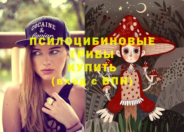 таблы Инсар
