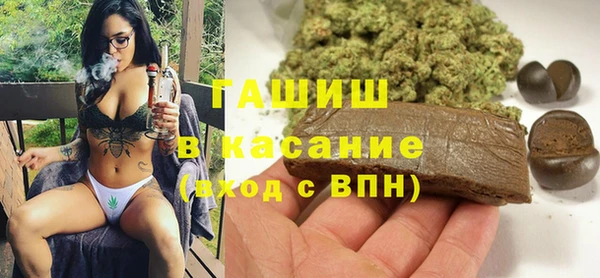ГАЛЛЮЦИНОГЕННЫЕ ГРИБЫ Инта