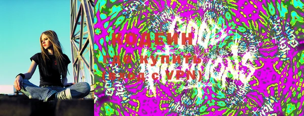 ГАЛЛЮЦИНОГЕННЫЕ ГРИБЫ Инта