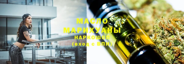 тгк Каменка