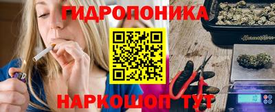 ПСИЛОЦИБИНОВЫЕ ГРИБЫ Свободный