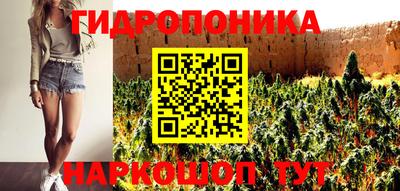 ПСИЛОЦИБИНОВЫЕ ГРИБЫ Свободный