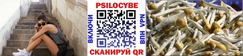 Галлюциногенные грибы MAGIC MUSHROOMS  OMG ссылки  это Telegram  Сибай 
