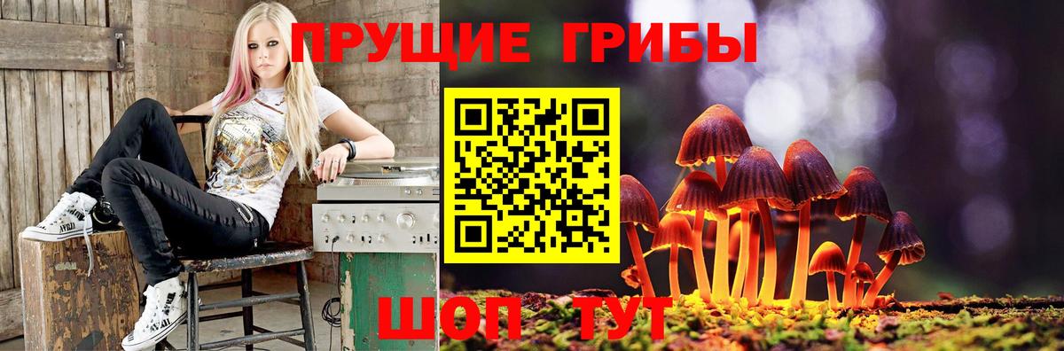Галлюциногенные грибы Psilocybine cubensis  Галлюциногенные грибы Psilocybe  Вход с VPN  Сибай 